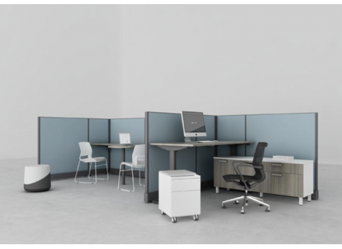 Friant Systems 2 Cubicle Workstation