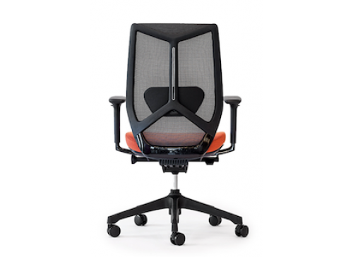 Friant Chair Ignite Typical B